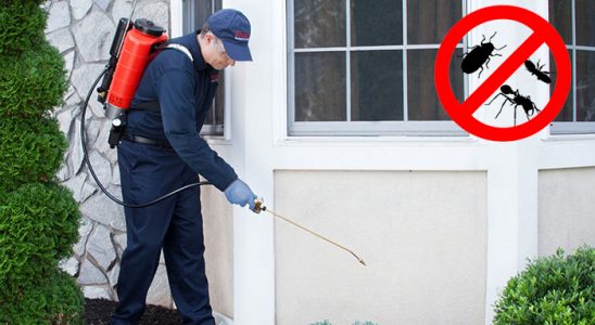 Yağlıdere Tahtakurusu İlaçlama böcek ilaçlama ve haşere kontrolü — ilaclama-tr.com